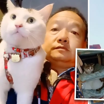 A truck driver in China who takes 3 rescue cats on the road with him is trending online after they appeared in local news media. Photo: SCMP comcpoiste/handout