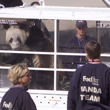 Two-year-old female panda Ya Ya arrives in Memphis, Tennessee on loan from Beijing, China in 2003. Ya Ya and another panda, Le Le, are being returned to China. Photo: Reuters