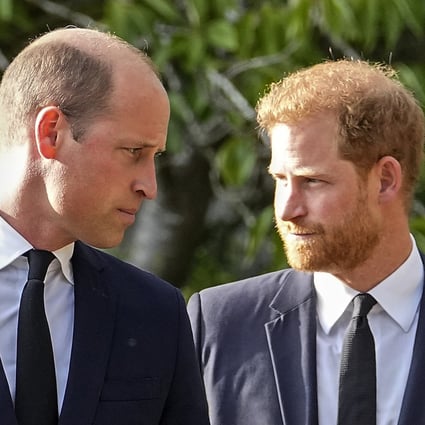 Prince William and Prince Harry have a tumultuous relationship. File photo: AP