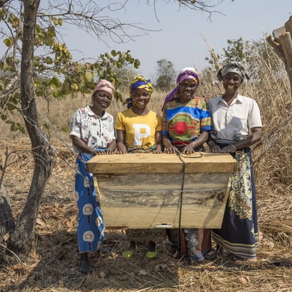 Wildlife populations are growing in Malawi’s Liwonde National Park, after management started engaging with local human communities. Above: locals sell honey at the park. Photo: Daniel Allen