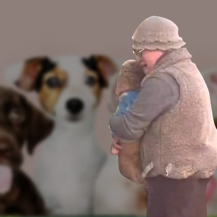A video clip of a Chinese woman’s emotional reunion with her dog after spending US$887 on a pet detective to find it has been watched, shared or commented on by 50 million people online. Photo: SCMP Composite