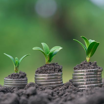 China’s green finance market is set to grow rapidly and reach US$10.4 trillion by 2031, according to UBS. Photo: Shutterstock
