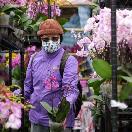 A visitor browses the blossoms at the Lunar New Year Fair. Photo: Elson Li