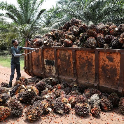 Malaysia’s EU palmoil export ban an empty threat it can’t afford or a