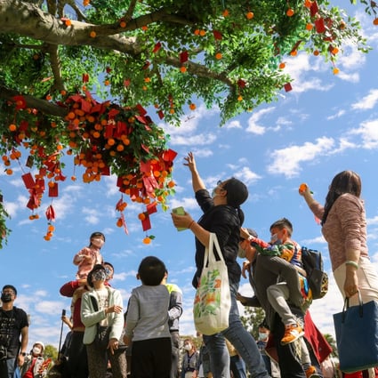Families throw their Lunar New Year requests onto the wishing tree at the traditional festival at Lam Tsuen in Tai Po. Photo: Yik Yeung-man