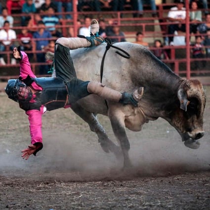 Women rodeo bull riders buck tradition in macho Nicaragua | South China ...