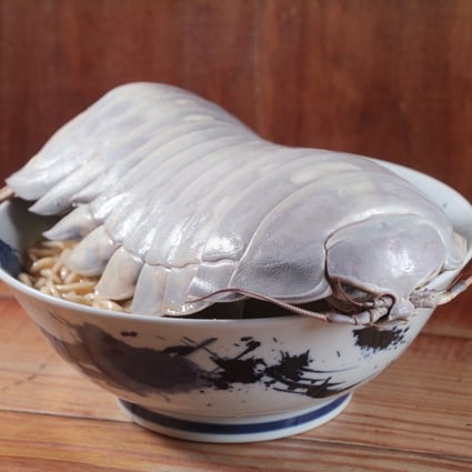 ‘Dream ingredient’: alien-like isopod ramen dish made with a 14-legged ...