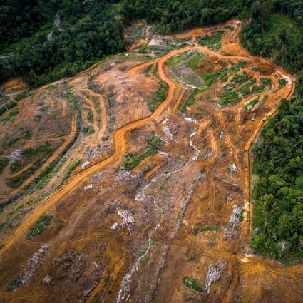 An aerial view on August 20, 2018, of land cleared as a staging area for the building of a new hydroelectric dam in the Batang Toru rainforest, the only known habitat of the Tapanuli orangutan, on Sumatra island. Photo: Handout by the Sumatran Orangutan Conservation Programme SOCP)/AFP