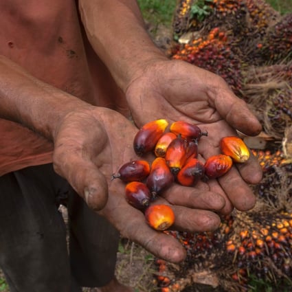 An Indonesian palm oil farmer with his product. Photo: AFP