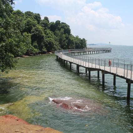Pulau Ubin, an island northeast of Singapore, is a refreshing throwback to a mellower time. Photo: Tommy Walker