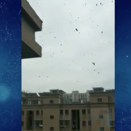 Police were called after a couple in eastern China ignored their neighbours’ complaints about the thousands of bees they kept on the balcony of their high-rise flat. Photo: Weibo