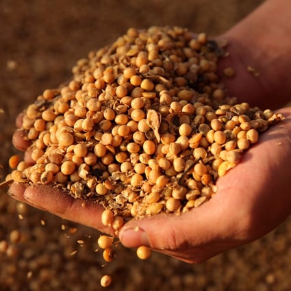 A decline or slower growth in Chinese soy imports has been forecast for the next couple of years. Photo: Reuters