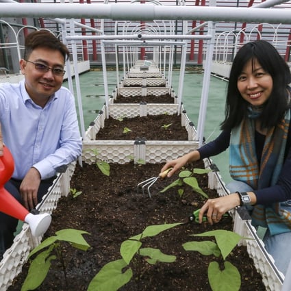 Jeff Chan (left) from Jones Lang LaSalle and farming expert Michelle Hong from Rooftop Republic. Photo: Jonathan Wong