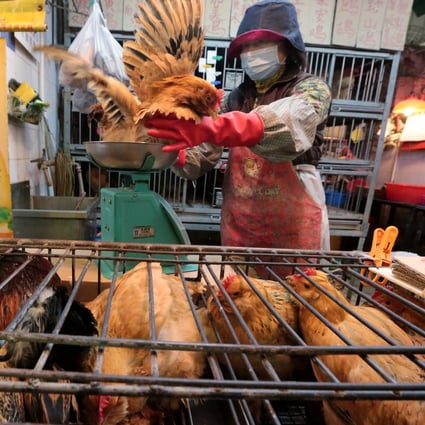China has faced a chicken shortage since 2016 and the scarcity could get worse this year, driving up the price of chicken meat in the months ahead, according to Gao Xiang, an analyst with Sublime China Information SCI. Photo: Handout