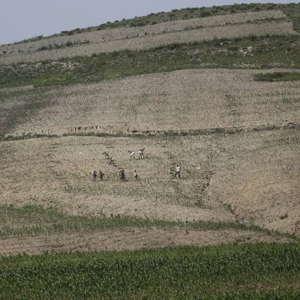 Farmers are dwarfed against a hill as they work in a corn field in South Hwanghae, North Korea. Photo: AP