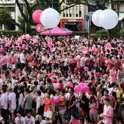 Singapore’s Pink Dot rally, which started in 2009, has attracted large crowds despite a backlash from conservative groups in a state where protests are strictly controlled. File photo: AFP