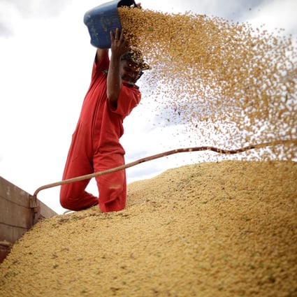 A worker inspects soybeans during the soy harvest near the town of Campos Lindos, Brazil. Brazil’s soy production took off as Japan sought to diversify its suppliers of the crop in the 1970s, and China is now benefiting from the South American country’s harvests as the trade war rages. Photo: Reuters