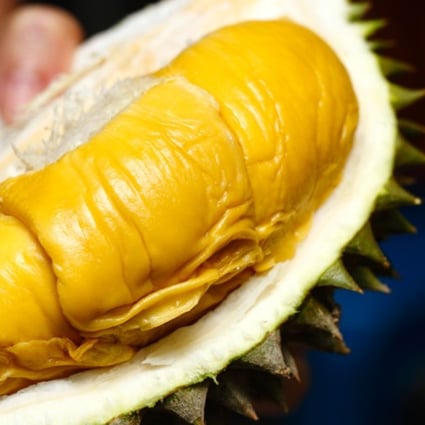 Malaysia’s Musang King durian is a big hit in China. Photo: Vkeong.com