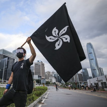 A protester holds up a black version of the Hong Kong bauhinia flag outside Legco on Monday. Photo: Winson Wong