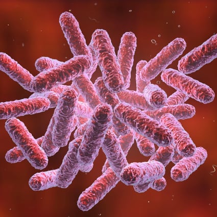 Scientists in Tianjin modified E coli to enable the germ to convert electrons into energy. Photo: Alamy