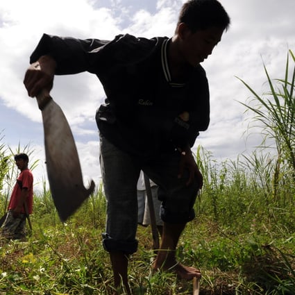At least 164 farmers and land rights activists were killed worldwide last year, with the Philippines accounting for the most casualties. Photo: AFP