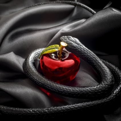 No sex till marriage: the ‘purity guides’ that inflicted damage on some