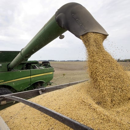 China placed soybean orders of just 130,000 tonnes between July 19 and August 2, compared to previous orders in the “millions of tonnes”, partly because US soybean prices were “not competitive”. Photo: AP