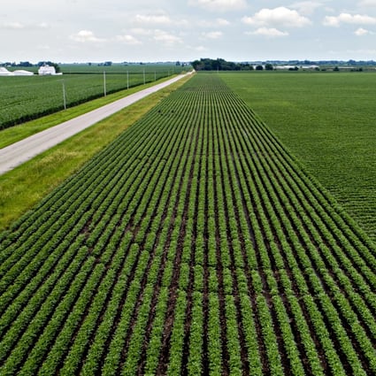 Chinese customs data showed that between October 2018 and March 2019, China bought just 2.7 million metric tonnes of US soybeans. Photo: Bloomberg
