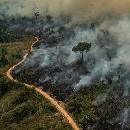 Brazil has seen 84,000 fires since the start of the year, of which about 50 per cent were in the Amazon region. Photo: AFP