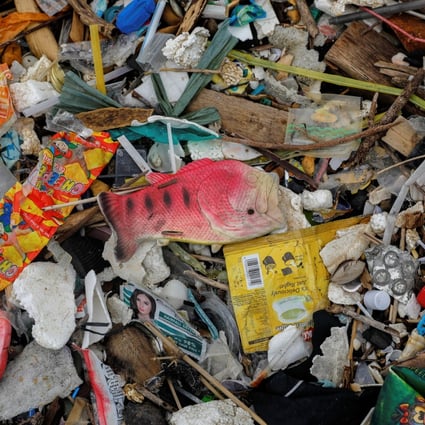 A plastic fish toy among sachets of various products on a trash-filled shore on Freedom Island. Photo: Reuters