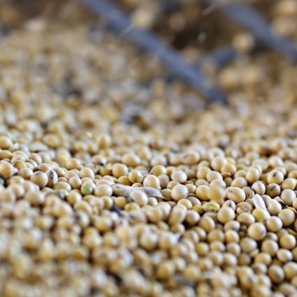 Soybeans are unloaded from a grain truck in Tiskilwa, Illinois. China has also imposed 30 per cent in additional tariffs on yellow soybeans – the sort the US grows in abundance – including 25 per cent in June and 5 per cent on September 1, bringing the current tariff level to 33 per cent. Photo: Bloomberg