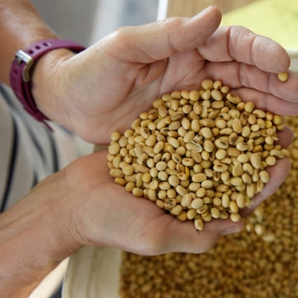 China’s announcement that it will drop tariffs on US soybeans has been followed by a visit to soybean farms from Liao Min, the man leading the Beijing advance team preparing for the US-China trade talks in October. Photo: Reuters