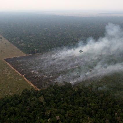 Between September 18 and 19, the number of forest fires in Brazil’s Rondonia state jumped to 242 from 12 just the day before, an increase of 1,915 per cent. Photo: Reuters