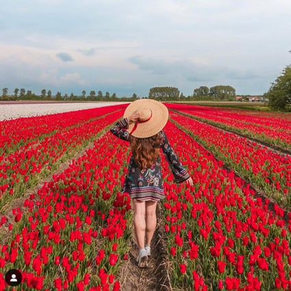 The Netherlands’ tulip fields are a powerful draw for those looking to get the perfect Instagram photo, but inconsiderate visitors have caused farmers to suffer. They are among destinations around the world battling excessive tourist numbers. Photo: Instagram / @the_flyaway_girl