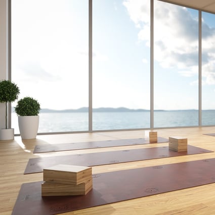 Would You A Us 100 000 Chakracarma Yoga Mat Studded With Rubies Emeralds And Diamonds South China Morning Post Chakracarma Yoga Mat