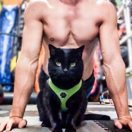 south china morning post