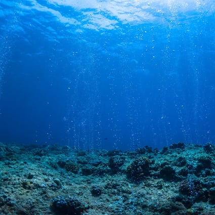 Governments, research institutions and commercial entities have already signed contracts for the exploration phase to extract minerals from the seabed, with China holding the most. Photo: Shutterstock