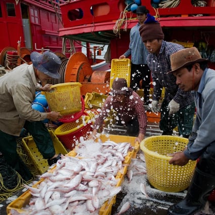 Migrant workers sort fish on a Thai fishing boat. File photo: AFP