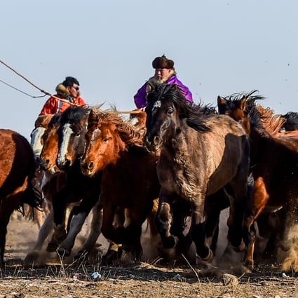 chinese man 55 contracts bubonic