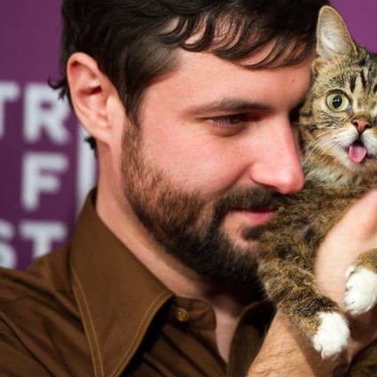 From Lil Bub (pictured), owned by Mike Bridavsky (left) to Doug the Pug, cats and dogs make such great social media influencers.