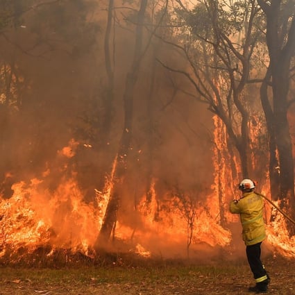 Toxic haze has blanketed Sydney as severe weather conditions fuel deadly bush fires along Australia’s east coast. Photo: AFP
