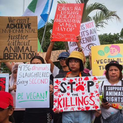 A protest against farm cruelty in the Philippines. Veganism is on the rise there thanks to growing awareness of the health benefits of a plant-based diet and the cruelty of animal husbandry. Photo: SOPA Images/LightRocket via Getty Images