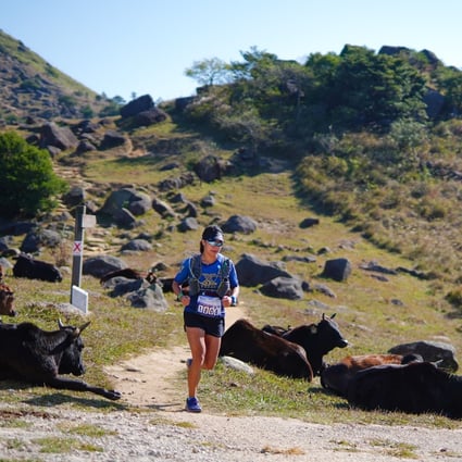Nicola Kwan is preparing for a race that is only possible in a few places in the world where sailors and trail runners abound. Photo: Candy Photography