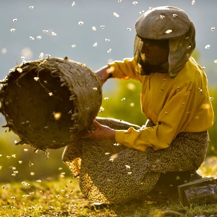 A still from Honeyland, the film nominated for best documentary feature and best international feature at the 2020 Academy Awards.