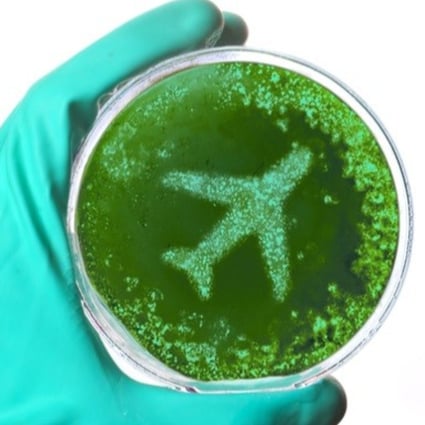 Aeroplanes are famously dirty, but there are tricks to avoid the germs