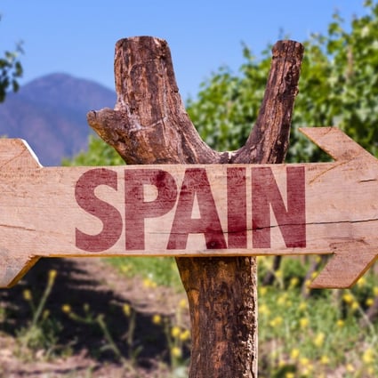 Spain grows more than 400 varieties of grape. Here are some to acquaint yourself with. Photo: Shutterstock