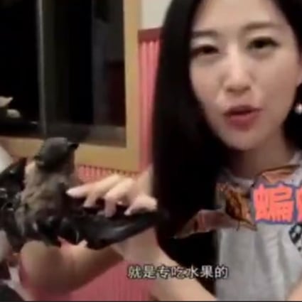 Wang Mengyun says she is sorry for an online travel show segment about bat soup filmed in 2016. Photo: Sohu