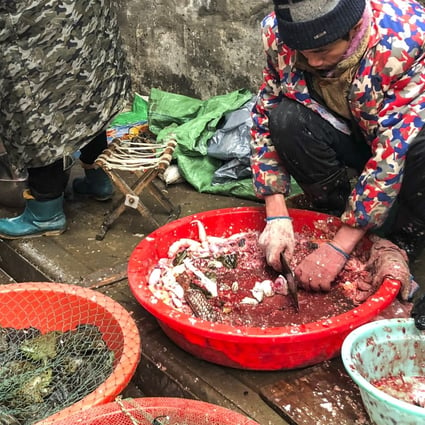 A man kills a fish in a wet market in Wuhan on January 05, 2020. China has imposed an immediate ban on the trade in wildlife. Photo: Simon Song