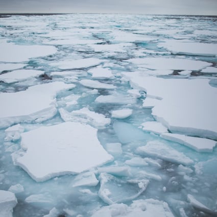 Dramatic sea ice floes, long a tourist draw in northern Japan’s Hokkaido, have become less predictable in recent years. Photo: Denis Sinyakov / Greenpeace