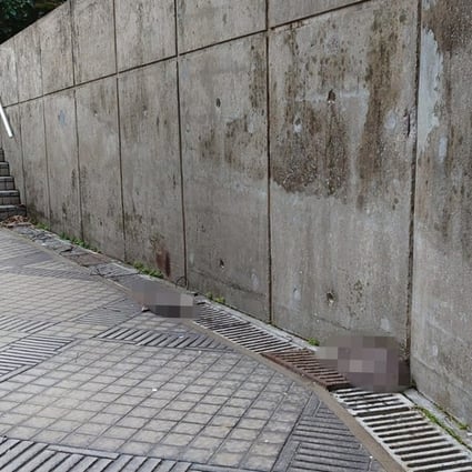 The animals were found either dead or severely injured next to the building. Photo: Handout